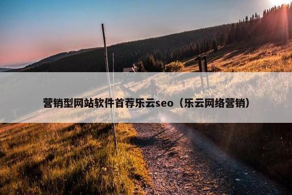 营销型网站软件首荐乐云seo（乐云网络营销）