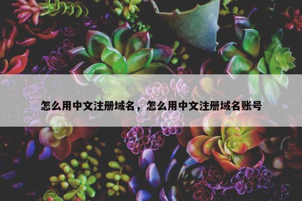 怎么用中文注册域名，怎么用中文注册域名账号