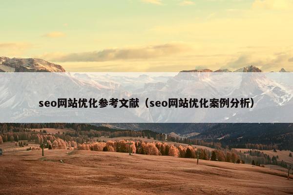 seo网站优化参考文献（seo网站优化案例分析）