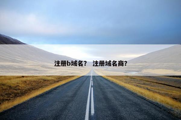 注册b域名？ 注册域名商？