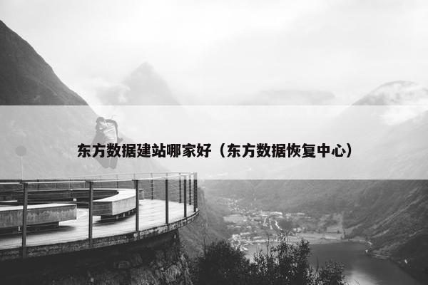 东方数据建站哪家好（东方数据恢复中心）