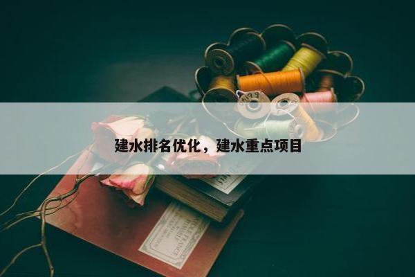 建水排名优化，建水重点项目