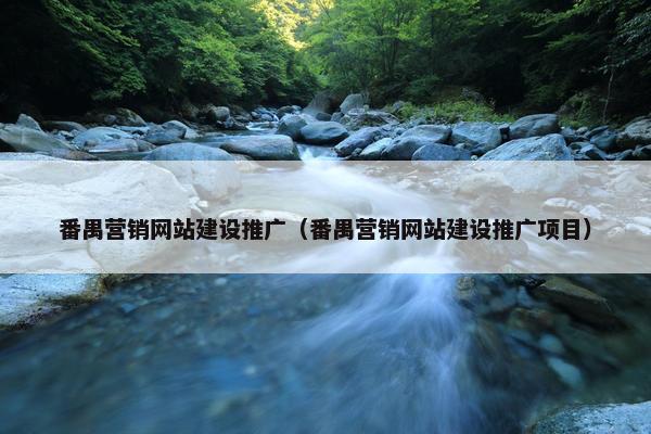 番禺营销网站建设推广（番禺营销网站建设推广项目）