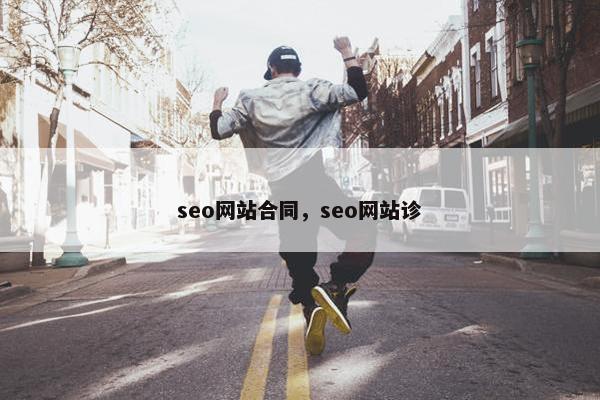 seo网站合同，seo网站诊