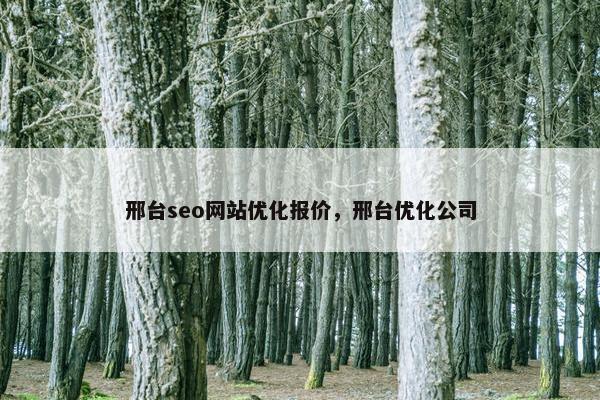 邢台seo网站优化报价，邢台优化公司