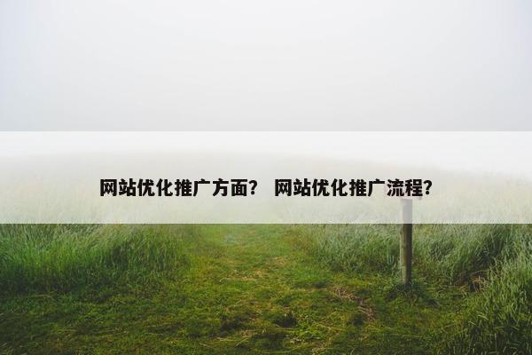 网站优化推广方面？ 网站优化推广流程？