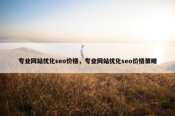 专业网站优化seo价格，专业网站优化seo价格策略