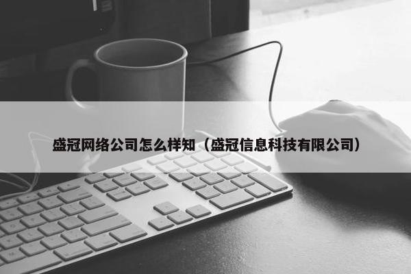 盛冠网络公司怎么样知（盛冠信息科技有限公司）