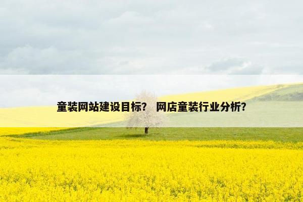 童装网站建设目标？ 网店童装行业分析？