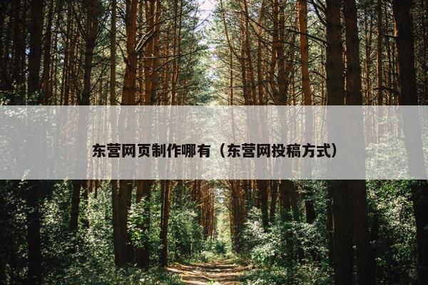 东营网页制作哪有（东营网投稿方式）