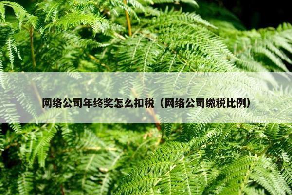 网络公司年终奖怎么扣税（网络公司缴税比例）