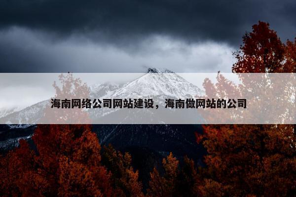 海南网络公司网站建设，海南做网站的公司