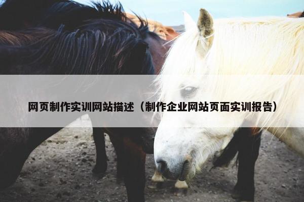 网页制作实训网站描述（制作企业网站页面实训报告）