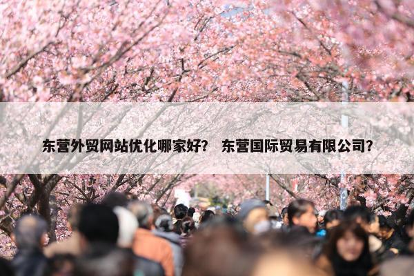 东营外贸网站优化哪家好？ 东营国际贸易有限公司？