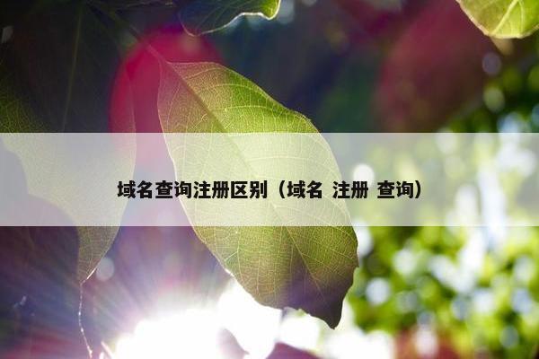 域名查询注册区别（域名 注册 查询）