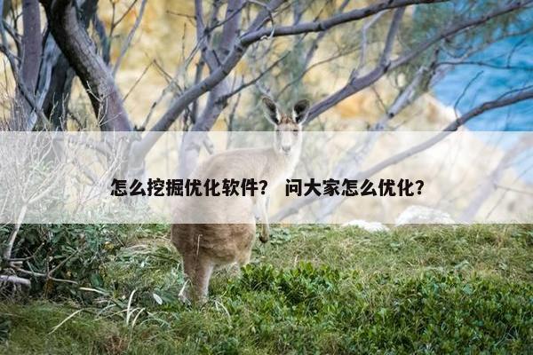 怎么挖掘优化软件？ 问大家怎么优化？
