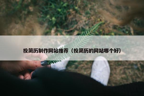 投简历制作网站推荐（投简历的网站哪个好）