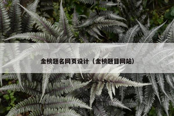 金榜题名网页设计（金榜题目网站）