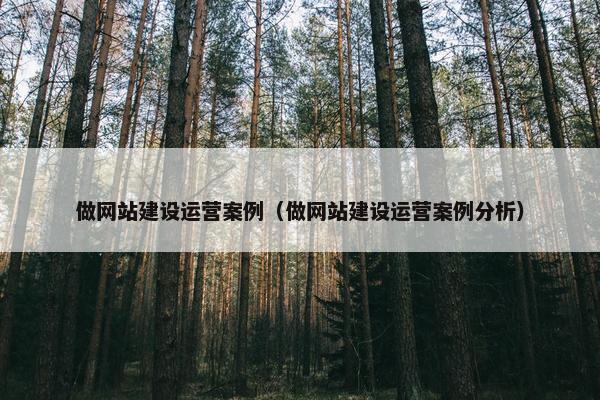 做网站建设运营案例（做网站建设运营案例分析）
