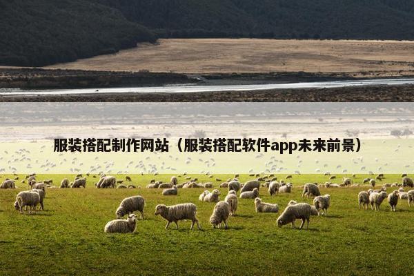 服装搭配制作网站（服装搭配软件app未来前景）