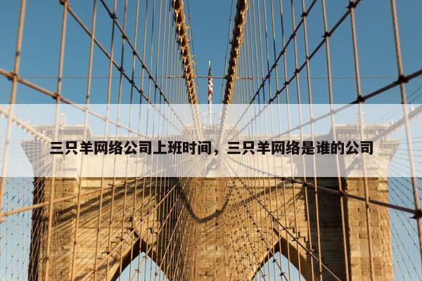 三只羊网络公司上班时间，三只羊网络是谁的公司