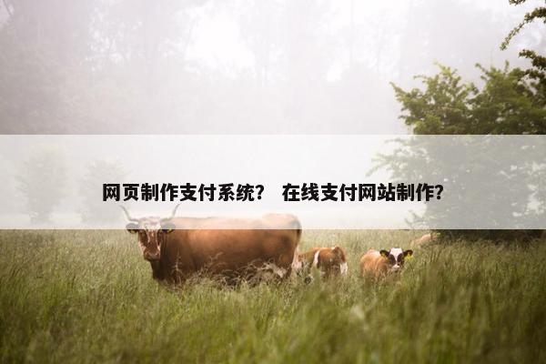 网页制作支付系统？ 在线支付网站制作？
