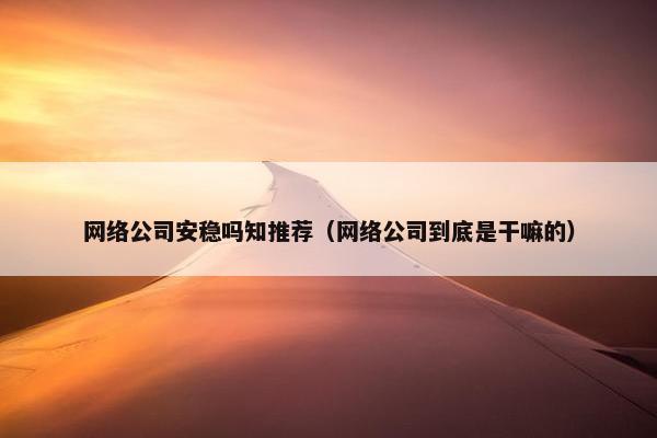 网络公司安稳吗知推荐（网络公司到底是干嘛的）