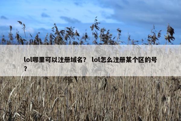lol哪里可以注册域名？ lol怎么注册某个区的号？