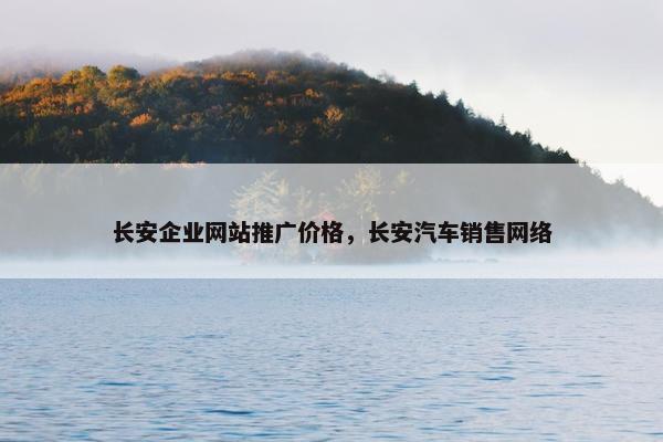 长安企业网站推广价格，长安汽车销售网络