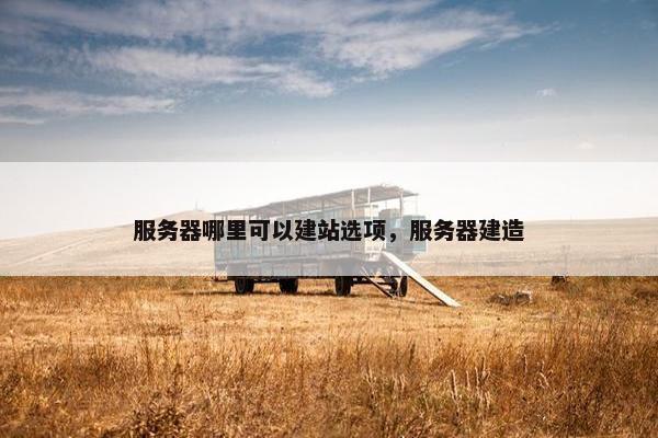 服务器哪里可以建站选项，服务器建造