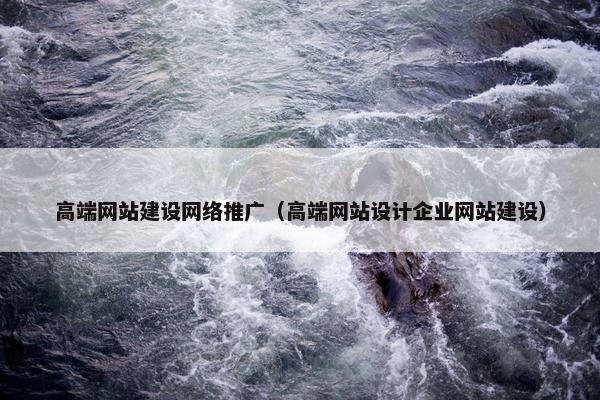 高端网站建设网络推广（高端网站设计企业网站建设）
