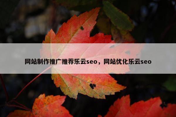 网站制作推广推荐乐云seo，网站优化乐云seo