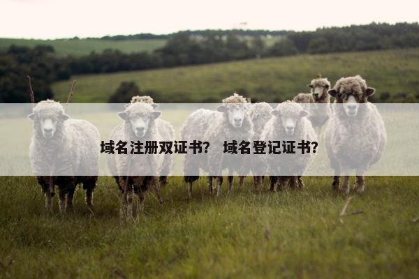 域名注册双证书？ 域名登记证书？