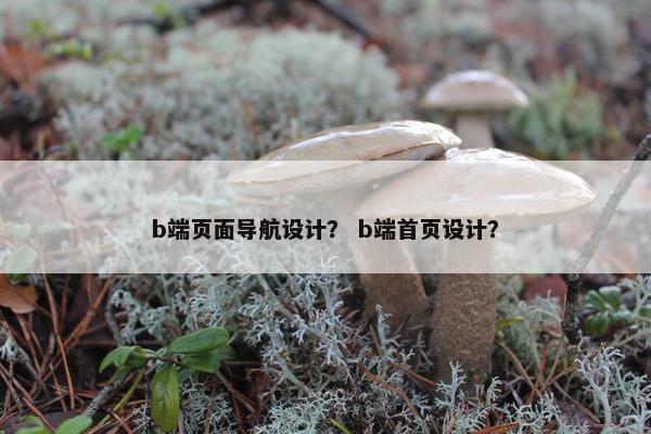 b端页面导航设计？ b端首页设计？