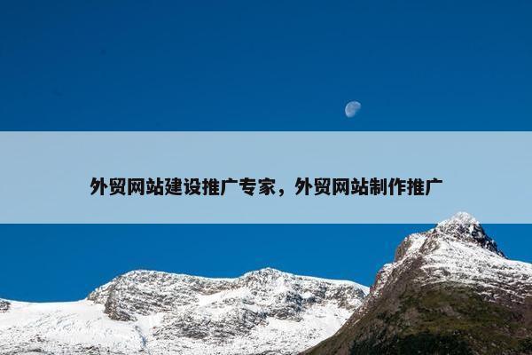 外贸网站建设推广专家，外贸网站制作推广