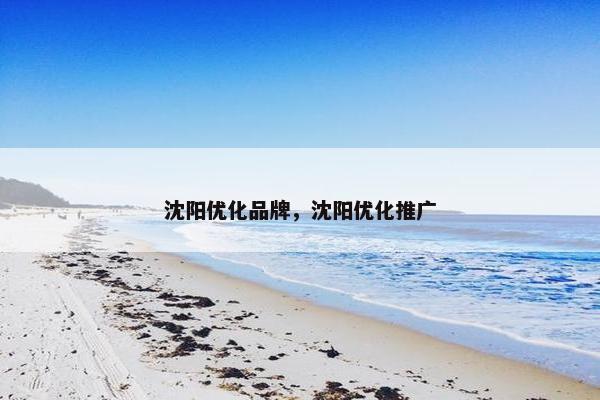 沈阳优化品牌，沈阳优化推广
