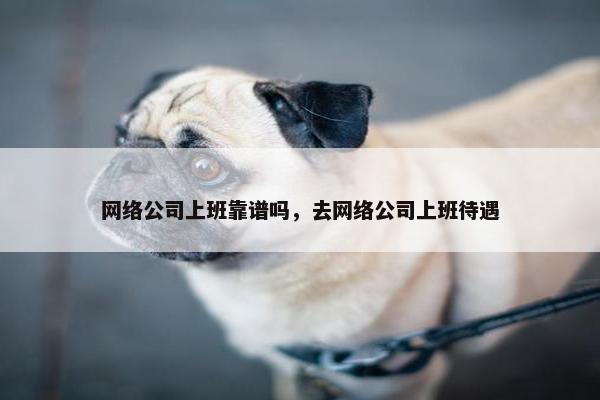 网络公司上班靠谱吗，去网络公司上班待遇
