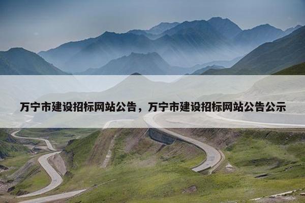 万宁市建设招标网站公告，万宁市建设招标网站公告公示