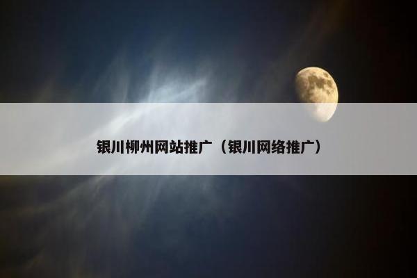 银川柳州网站推广（银川网络推广）