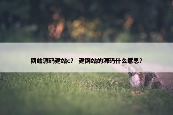 网站源码建站c？ 建网站的源码什么意思？