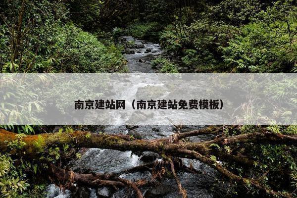 南京建站网（南京建站免费模板）