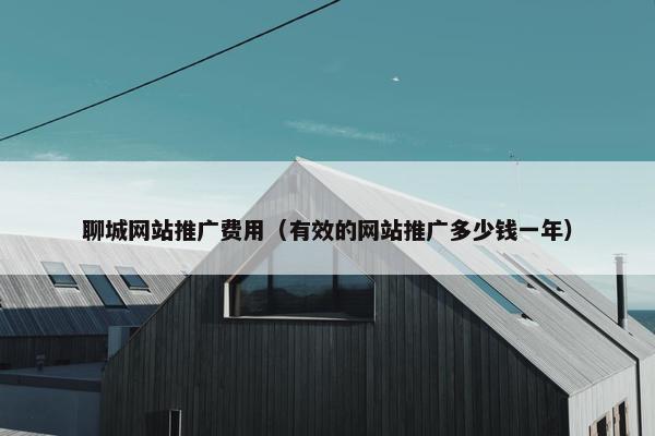 聊城网站推广费用（有效的网站推广多少钱一年）
