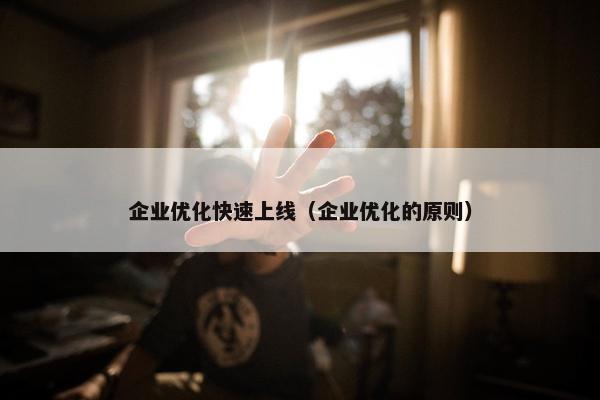 企业优化快速上线（企业优化的原则）