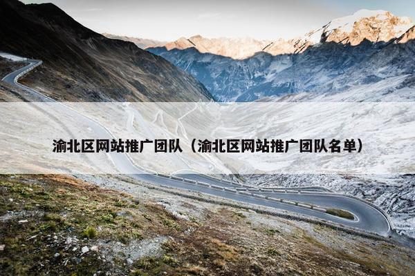 渝北区网站推广团队（渝北区网站推广团队名单）