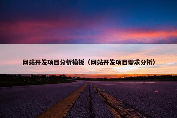 网站开发项目分析模板（网站开发项目需求分析）