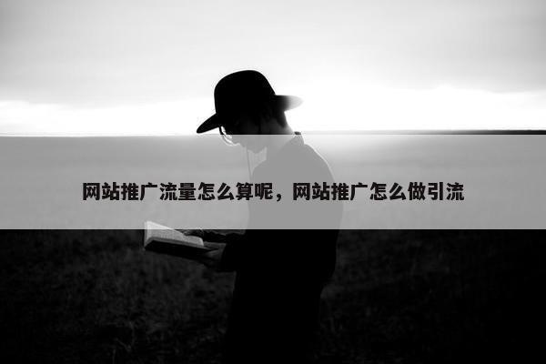 网站推广流量怎么算呢，网站推广怎么做引流