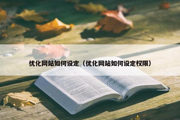 优化网站如何设定（优化网站如何设定权限）