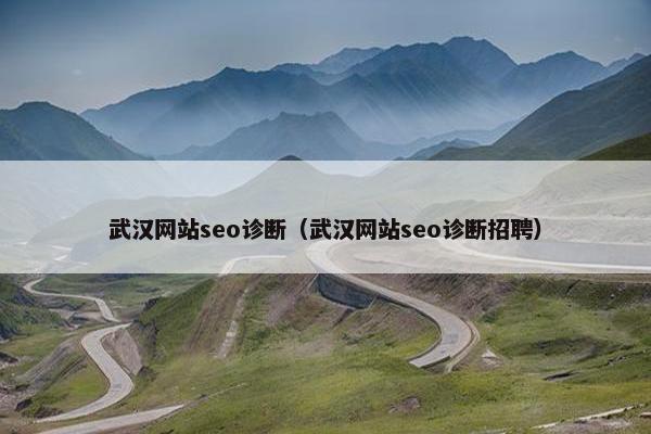 武汉网站seo诊断（武汉网站seo诊断招聘）