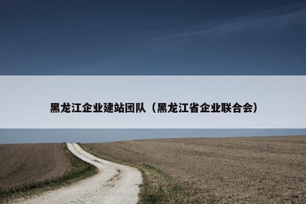 黑龙江企业建站团队（黑龙江省企业联合会）