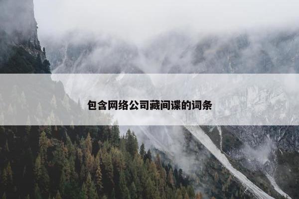 包含网络公司藏间谍的词条